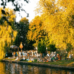 3 Homepage 3 Homepage